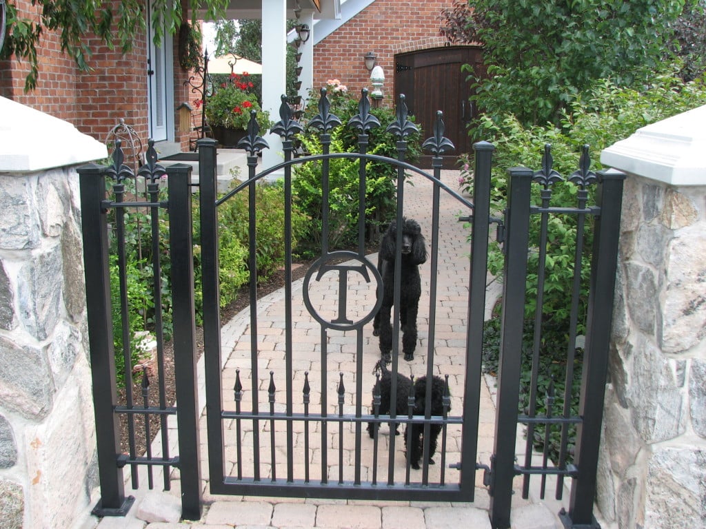 Iron Walk Gate with Custom Finial Tips, Puppy Pickets and a "T" Initial