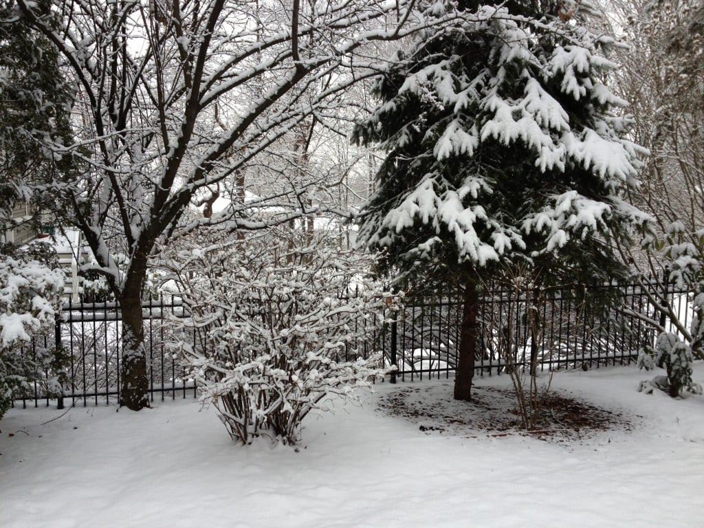 Aluminum Fence Installed in the Winter