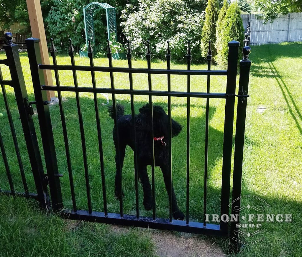 Our Infinity Aluminum Fence is a Stylish way to keep the Family Dog in the Yard!