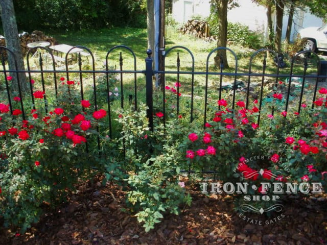 Iron Hoop and Picket Style Fence